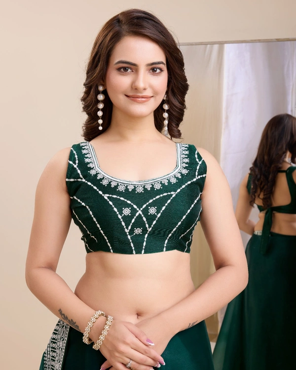 FWVLS PARTY WEAR EMBROIDERED SAREE WITH BLOUSE PIECE  - Gable Green