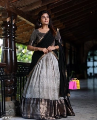 Beautiful Lehenga Choli - L