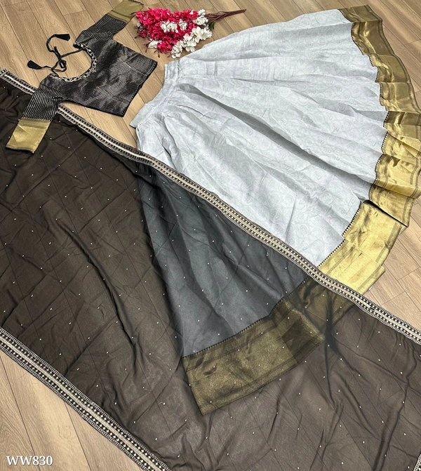 Beautiful Lehenga Choli - L