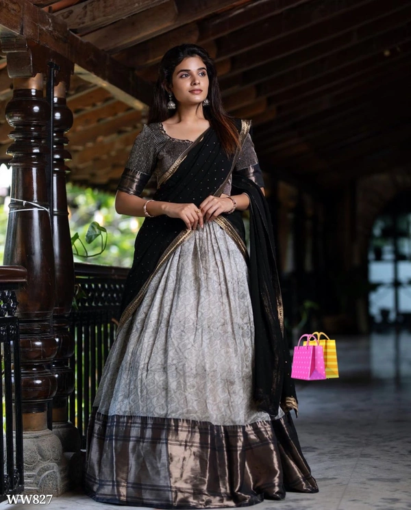Beautiful Lehenga Choli - 2XL