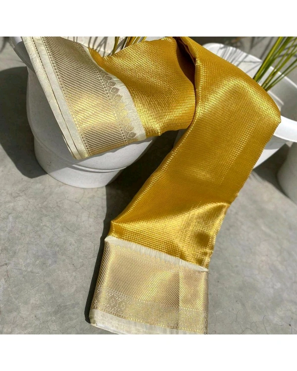 BANARASI SOFT PATTA NITA PATTU TISSUE SAREE   - Free Size