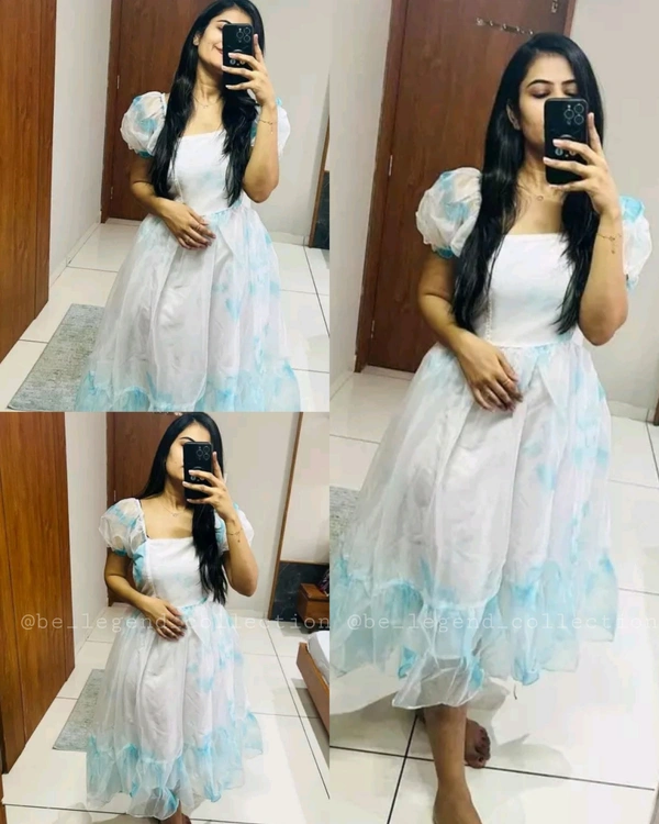 Woman Party Wear Organza One Piece  - L