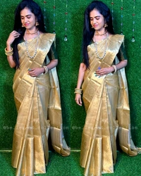 Tissue Saree - Silver, Free Size