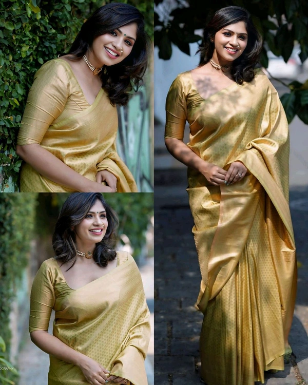 Kanjeevaram Silk Party Wear - Free Size