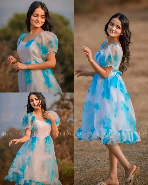 Woman Party Wear fancy Organza - Sky Blue, XL