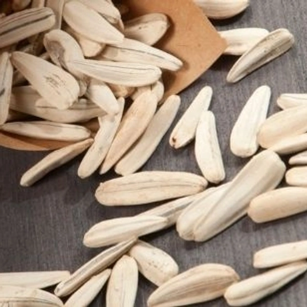 FUTUREKROP SUNFLOWER SEEDS-100GRAMS - 250grams