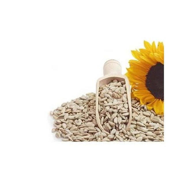 FUTUREKROP SUNFLOWER SEEDS-100GRAMS - 250grams