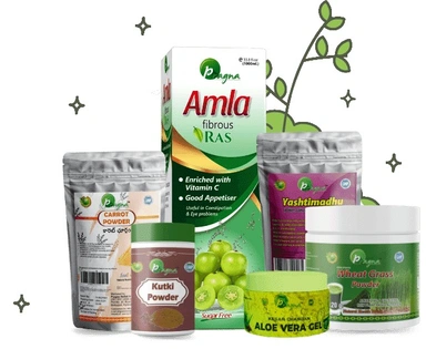 Body And Hair Care