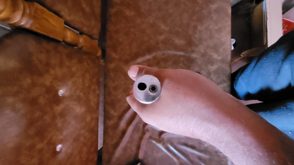 Digital Artificial Insemination Gun 