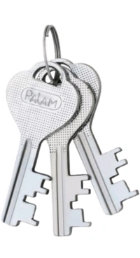 Palam Sensation 60mm Lock,  With 3 Keys.