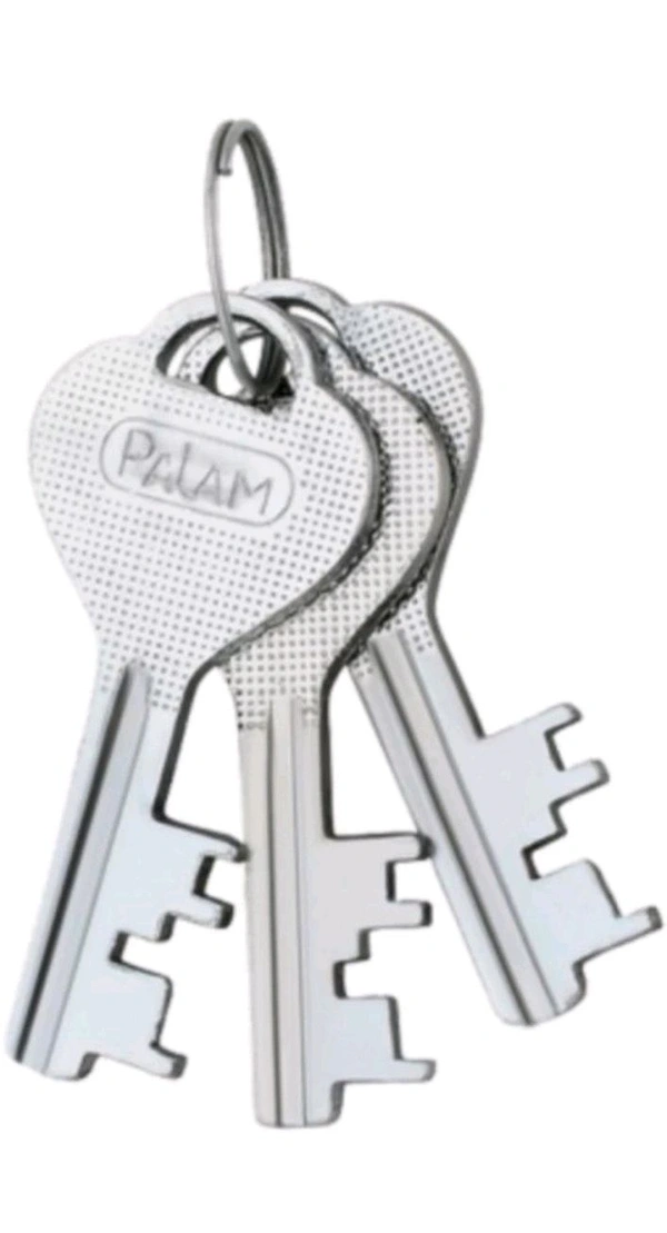 Palam Sensation 60mm Lock,  With 3 Keys.