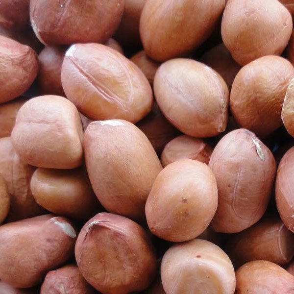 Nila Kadalai(பச்சை நிலக்கடலை) - 500g