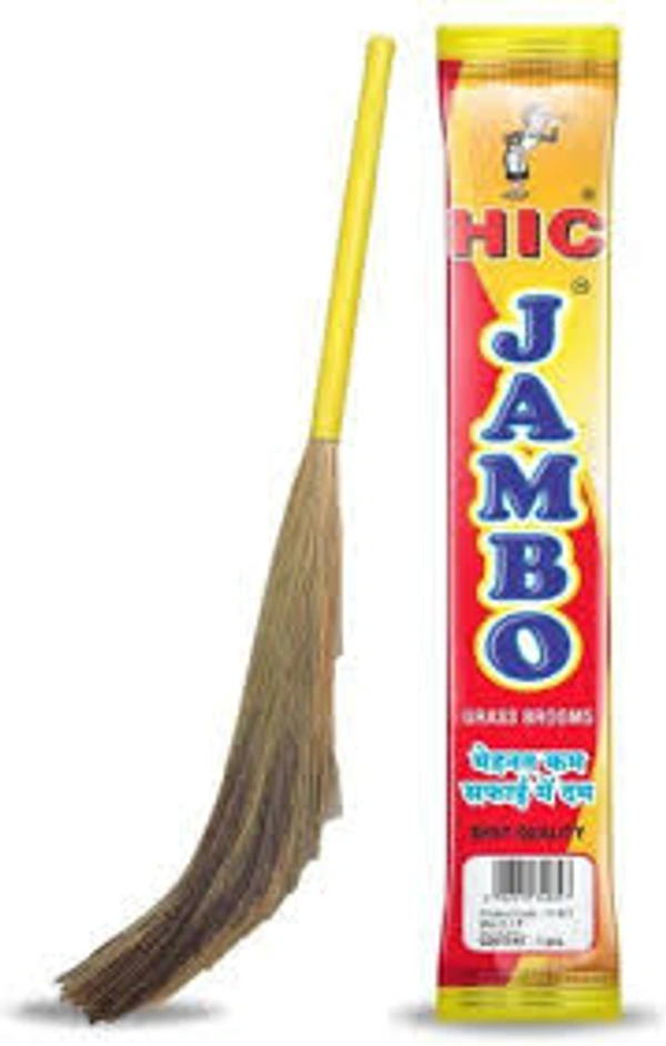 Broom Long Size