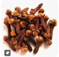 Long Sabot 30 Pcs MRP 10 