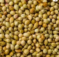 Dhania Sabot 30 Pcs MRP 10 