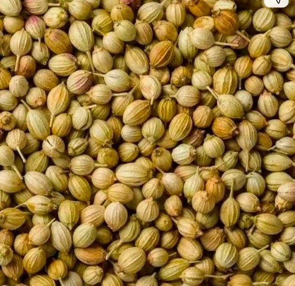 Dhania Sabot 30 Pcs MRP 10 