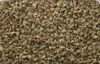 Ajiwan Sabot 30 Pcs MRP 10 