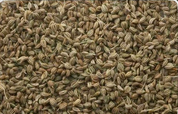 Ajiwan Sabot 30 Pcs MRP 10 