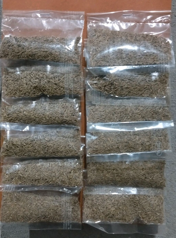 Wts Jeera 10 MRP 12 Pcs