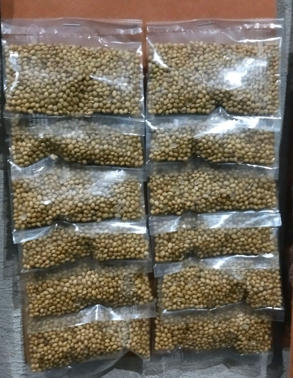 Wts Dhania MRP 10 Pcs 12