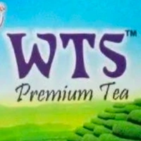 wts product service  - Logo