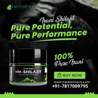 Irani Exotics Pure Shilajit 20gms