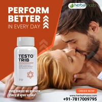 TESTO TRIB Natural Testosterone Booster ( 60 Capsules Pack )