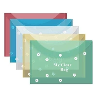 Clear Bag File