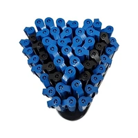 Natraj Pen - Black