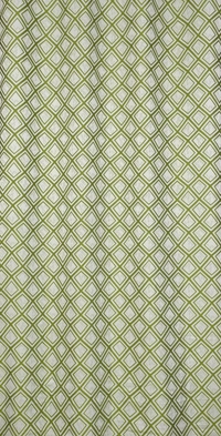 Panipat Textile Hub Polyester Eyelet Green  jacquard curtains Pack of 2 - Window (4x5 Feet)
