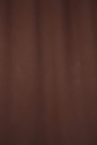 Panipat Textile Hub Polyester Eyelet Brown Solid Blackout curtains Pack of 2 - Window (4x5 Feet)