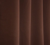 Panipat Textile Hub Polyester Eyelet Brown Solid Blackout curtains Pack of 2 - Window (4x5 Feet)