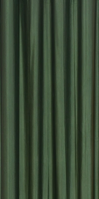 Panipat Textile Hub Polyester Eyelet Dark Green Solid Plain curtains Pack of 2 - Window (4x5 Feet)