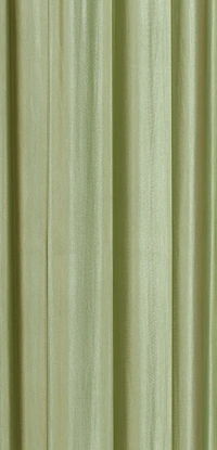 Panipat Textile Hub Polyester Eyelet Light Green Solid Plain curtains Pack of 2 - Door (4x7 Feet)