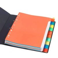 plastic Separators  A4 Binder Index Divider (10 Insertable tab Sheets)  | Royal Stationers Best Quality Guarantee