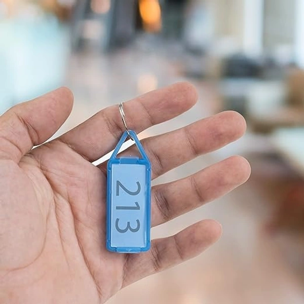 Transparent Multicolor Keyring & Keychain with Name Tag Labels Pack of 50. | Royal Stationers Best Quality Guarantee