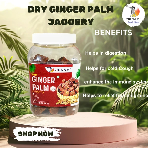 Dry Ginger Palm Jaggery (14g)