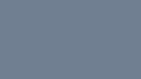MANJUSHREE (POLYESTER MIX) - SlateGray