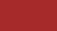 MANJUSHREE (POLYESTER MIX) - Brown