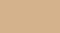 MANJU SHREE (PURE COTTON) - Tan