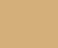 MANJUSHREE (POLYESTER MIX) - Ginger