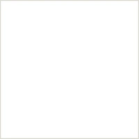 MANJUSHREE (POLYESTER MIX) - White