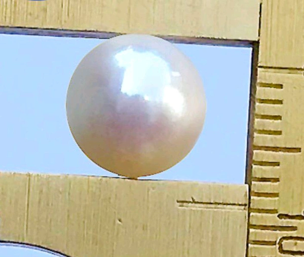 Pearl Stone (Certified by GIA / IGJTL / IGI ) South Sea Seep Moti, Heavy Weight Round - White