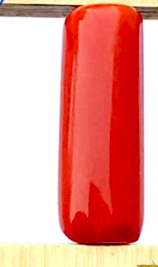 Natural Red Coral Stone, Italian Moonga (Certified by GIA / IGJTL / IGI ) Unheated UntreatedCODE = Coral1820 - Red