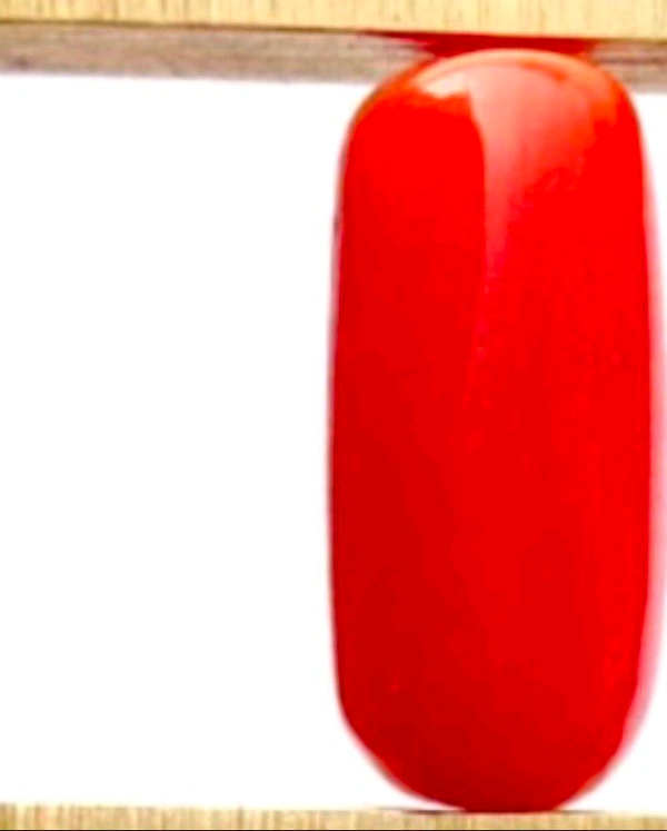 Natural Red Coral Stone, Italian Moonga (Certified by GIA / IGJTL / IGI ) Unheated UntreatedCODE = Coral2101 - Red