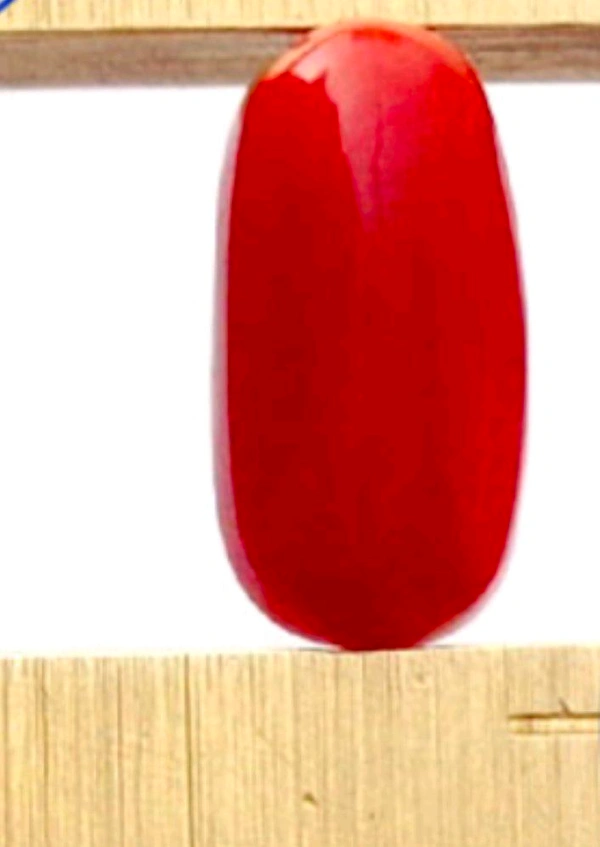 Natural Red Coral Stone, Italian Moonga (Certified by GIA / IGJTL / IGI ) Unheated UntreatedCODE = Coral1813 - Guardsman Red