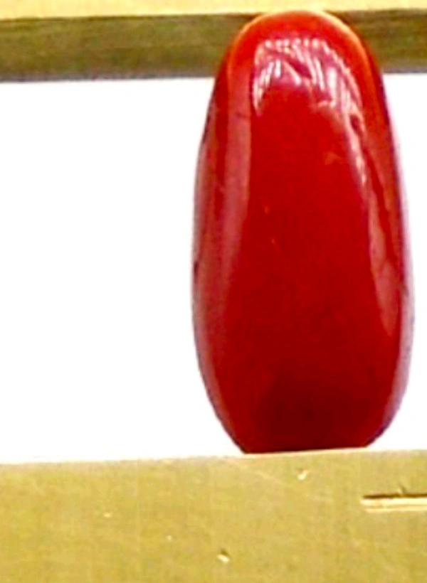 Natural Red Coral Stone, Italian Moonga (Certified by GIA / IGJTL / IGI ) Unheated UntreatedCODE = Coral1881 - Red