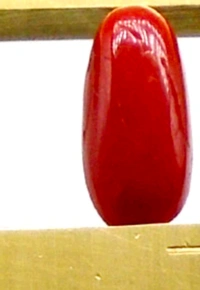 Natural Red Coral Stone, Italian Moonga (Certified by GIA / IGJTL / IGI ) Unheated UntreatedCODE = Coral1881 - Red