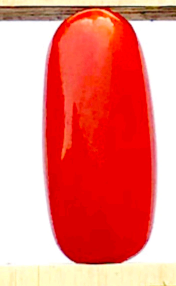 Natural Red Coral Stone, Italian Moonga (Certified by GIA / IGJTL / IGI ) Unheated UntreatedCODE = Coral2095 - Red