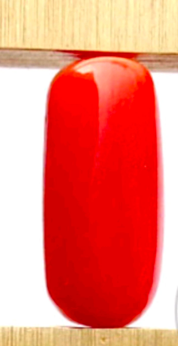 Natural Red Coral Stone, Italian Moonga (Certified by GIA / IGJTL / IGI ) Unheated UntreatedCODE = Coral1820 - Red